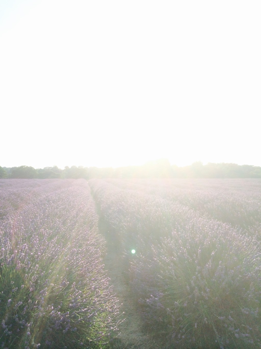 Spirit lead me.. Part&nbsp;1