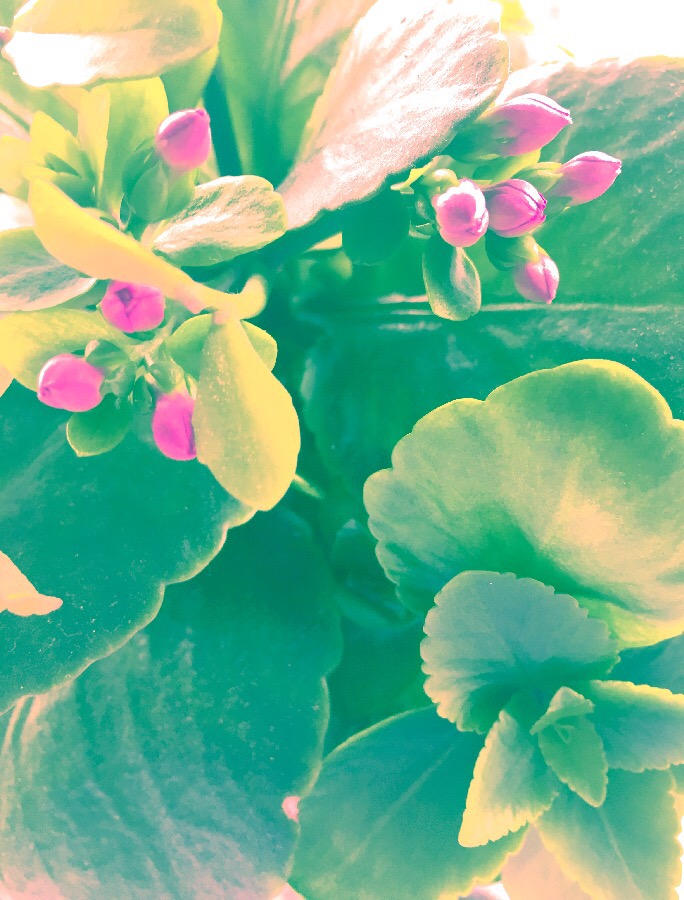 Do I have a specific purpose? What is my calling Lord? 